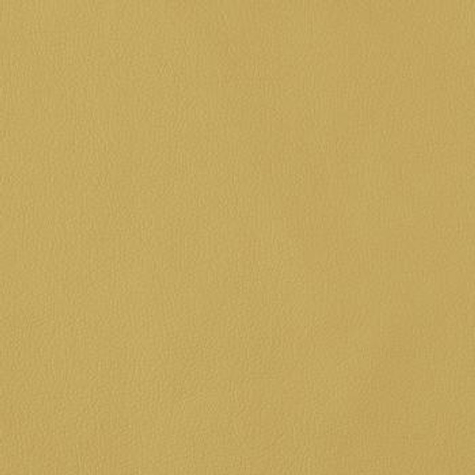 Morbern Fabric Legacy Mustard LY-606 See sample 100% Polyurethane USA or Imported Water-based cleaning agents and foam may be used for cleaning. Cleaning by a professional cleaning service is recommended. 54 - My Fabric Connection -