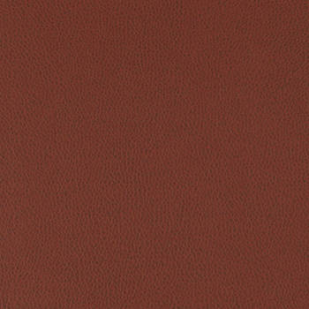 Nassimi Fabric Tolstoy Syrah WTL-015 See sample 100% Polyurethane USA or Imported Water-based cleaning agents and foam may be used for cleaning. Cleaning by a professional cleaning service is recommended. 54 - My Fabric Connection -