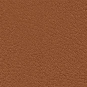 Nassimi Fabric Verve Mustang See sample 100% Polyurethane 250000 Horizontal: Not Applicable and Vertical: Not Applicable 54" - My Fabric Connection -