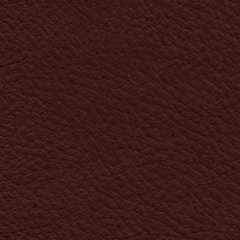 Nassimi Fabric Verve Redwood EVE-028 See sample 100% Polyurethane USA or Imported Water-based cleaning agents and foam may be used for cleaning. Cleaning by a professional cleaning service is recommended. 54 - My Fabric Connection -