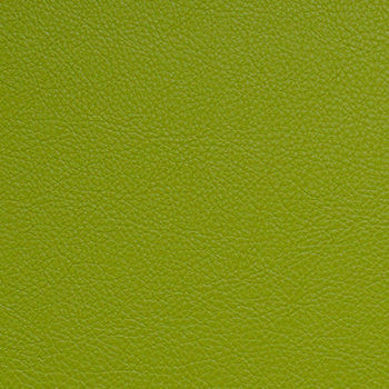 Nassimi Fabric Classic Granny Smith SCL-213 See sample 100% Vinyl USA or Imported Water-based cleaning agents and foam may be used for cleaning. Cleaning by a professional cleaning service is recommended. </p><p>Repeat: Horizontal: and Vertical: 54" - My Fabric Connection -