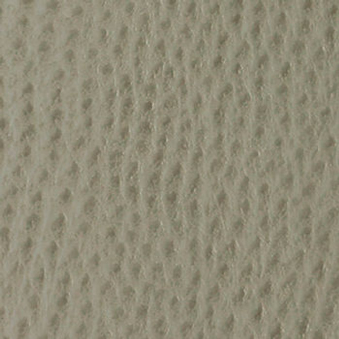 Nassimi Fabric Phoenix Rhino See sample 100% Vinyl 250000 Horizontal: Not Applicable and Vertical: Not Applicable 54" - My Fabric Connection -