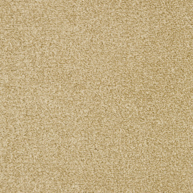 Crypton Fabric Interlude Camel 1003278 See sample 100% Polyester USA or Imported Water-based cleaning agents and foam may be used for cleaning. This fabric may also be cleaned with mild, water-free solvents. Cleaning by a professional service is recommended. </p><p>Repeat: Horizontal: Not Applicable and Vertical: Not Applicable 54" - My Fabric Connection -