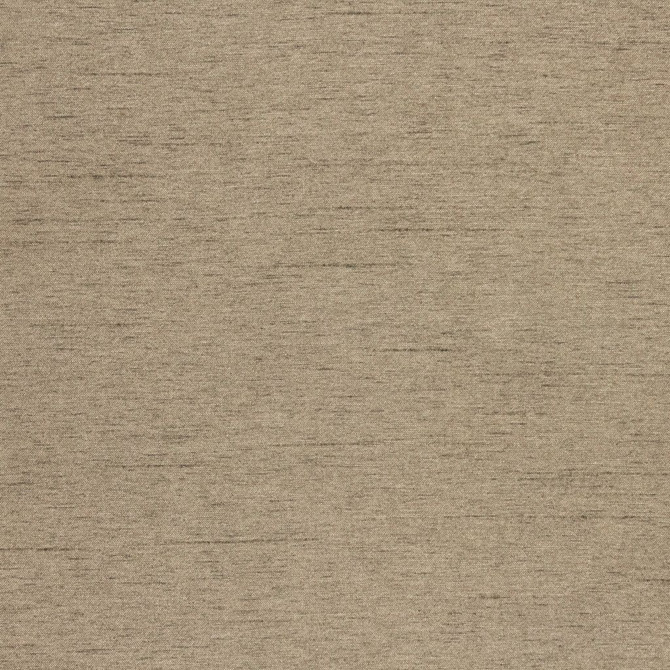 RM CoCo Fabric Keepsakes Bark Keepsakes IV 100% Polyester See Sample 0 Horizontal: 0 and Vertical: 0 54 - My Fabric Connection -