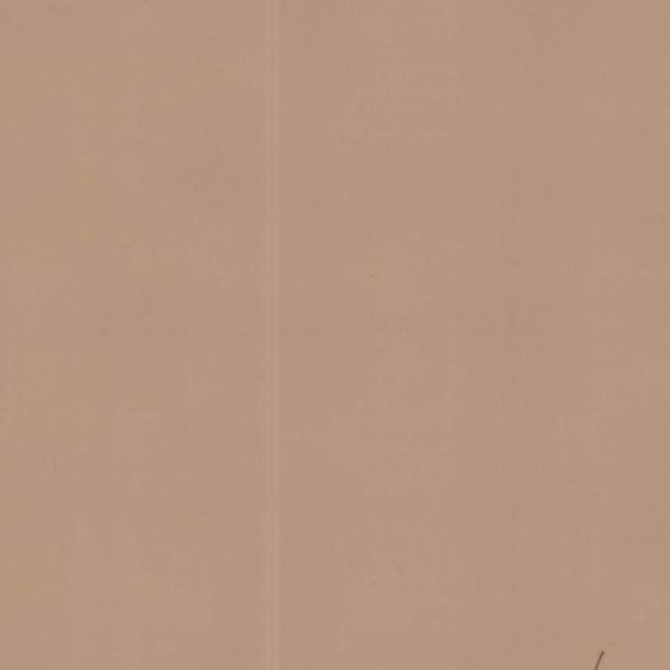 RM CoCo Fabric High Hopes Cocoa CLEAR VISION S04**** 100% POLYESTER Horizontal: 0 and Vertical: 0 118 - My Fabric Connection -