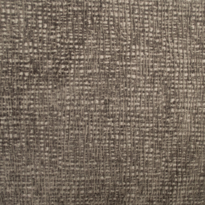 Europatex Fabric Carolina - Hazel Carolina 100% Polyester China See Sample Horizontal: N/A and Vertical: N/A 55.00 inches  - My Fabric Connection -