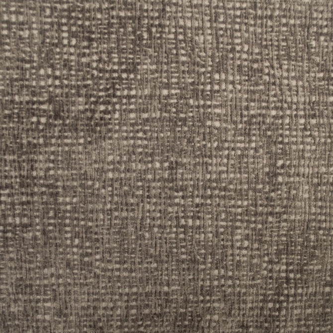 Europatex Fabric Carolina Hazel Carolina 100% Polyester 0.00" 55.00 inches - My Fabric Connection -