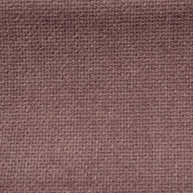 Europatex Fabric Cuddle - Lavender Cuddle 100% Polyester China See Sample Horizontal: N/A and Vertical: N/A 54.00 inches  - My Fabric Connection -