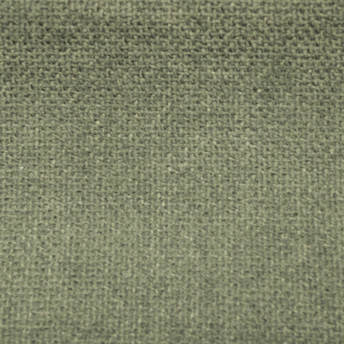 Europatex Fabric Cuddle - Spinach Cuddle 100% Polyester China See Sample Horizontal: N/A and Vertical: N/A 54.00 inches  - My Fabric Connection -