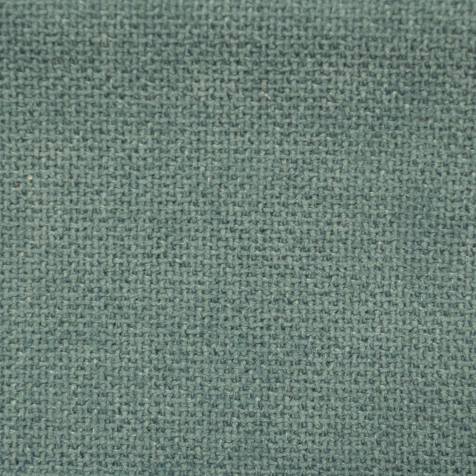Europatex Fabric Cuddle Surf Cuddle 100% Polyester 0.00" 54.00 inches - My Fabric Connection -