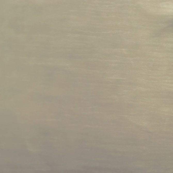 Europatex Fabric Freedom Cream Freedom, Vinyl Library 80& PVC, 20& Polyurethane 0.00" 55.00 inches - My Fabric Connection -