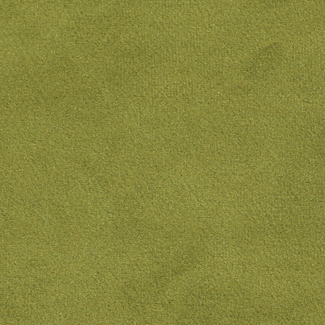 Europatex Fabric Plush 14 Plush 100% Polyester 0.00" 55.00 inches - My Fabric Connection -