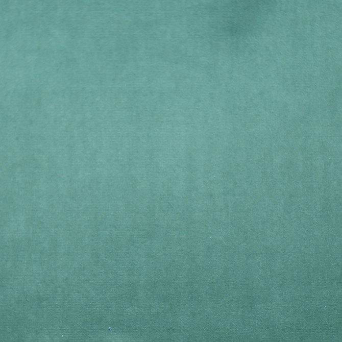 Europatex Fabric Plush 17 Plush 100% Polyester 0.00" 55.00 inches - My Fabric Connection -