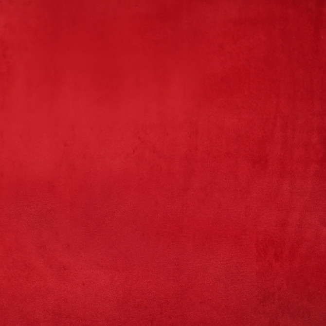 Europatex Fabric Plush 26 Plush 100% Polyester 0.00" 55.00 inches - My Fabric Connection -