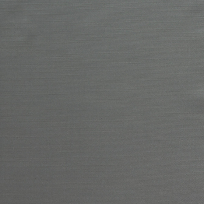 Europatex Fabric Royal Slub - Stone Royal Slub 100% Polyester China See Sample Horizontal: N/A and Vertical: N/A 55.00 inches  - My Fabric Connection -