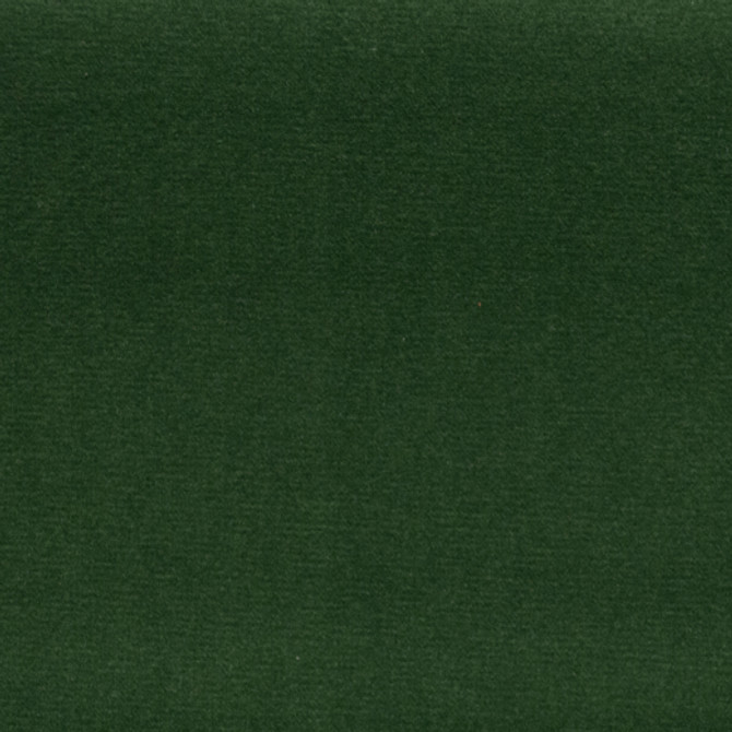 Europatex Fabric Sahara - Boxwood Sahara 100% Polyester China See Sample Horizontal: N/A and Vertical: N/A 57.00 inches  - My Fabric Connection -