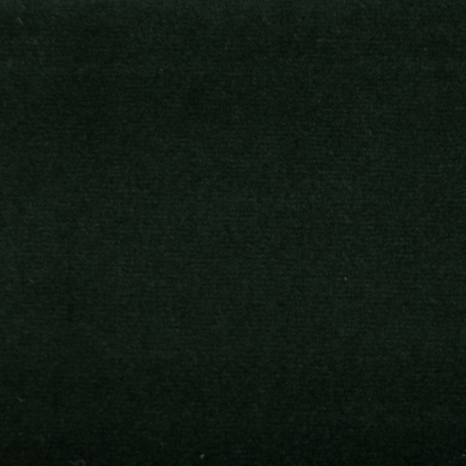 Europatex Fabric Sahara Jungle Sahara 100% Polyester 0.00" 57.00 inches - My Fabric Connection -