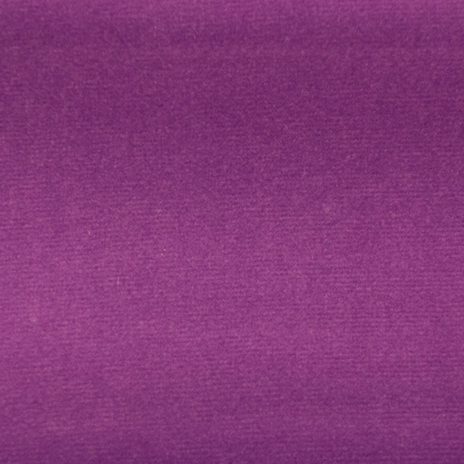 Europatex Fabric Sahara Orchid Sahara 100% Polyester 0.00" 57.00 inches - My Fabric Connection -