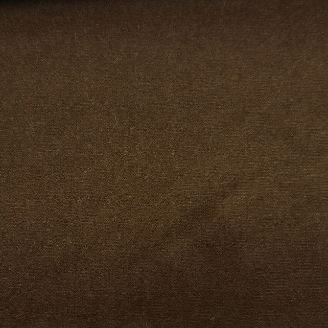 Europatex Fabric Sahara Twig Sahara 100% Polyester 0.00" 57.00 inches - My Fabric Connection -