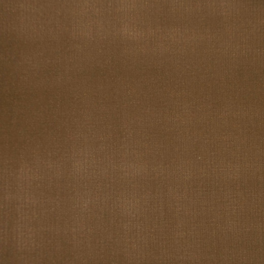 Europatex Fabric Silverton - Cappuccino Silverton 70% PVC. 30% Polyurethane China See Sample Horizontal: N/A and Vertical: N/A 55.00 inches  - My Fabric Connection -