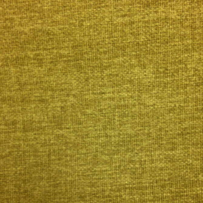 Europatex Fabric Studio - Grass Studio 100% Polyester China See Sample Horizontal: N/A and Vertical: N/A 55.00 inches  - My Fabric Connection -