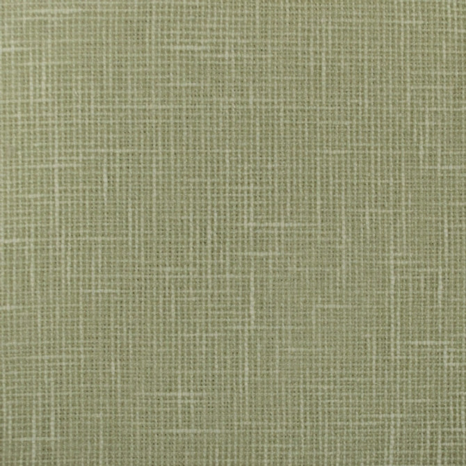 Europatex Fabric Turks - Aloe Turks & Caicos 91% Polyester, 9% Cotton China See Sample Horizontal: N/A and Vertical: N/A 55.00 inches  - My Fabric Connection -