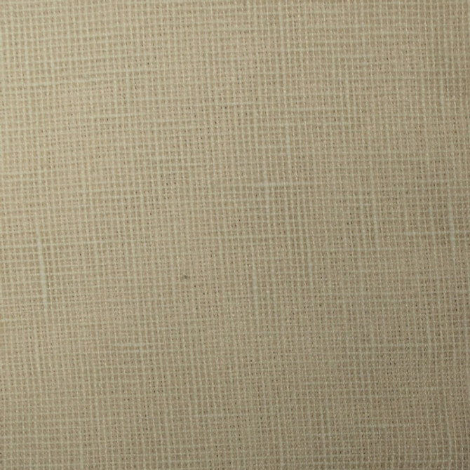 Europatex Fabric Turks - Linen Turks & Caicos 91% Polyester, 9% Cotton China See Sample Horizontal: N/A and Vertical: N/A 55.00 inches  - My Fabric Connection -