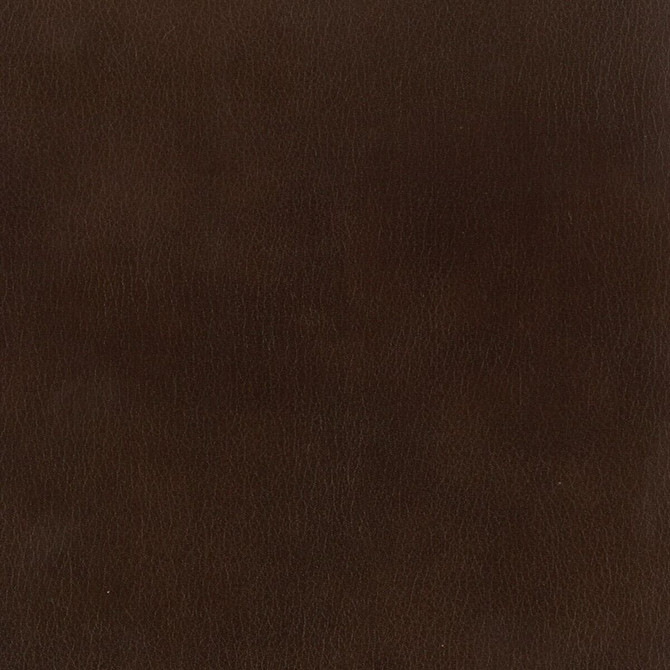 Stout Fabric Abbreviate 1 Espresso LEATHER LOOKS II 100%OTH 9%OTH CHINA FLAME RETARDANT-U.F.A.C. CLASS 1 FLAME RETARDANT-N.F.P.A. 260A CLASS 1 CATB 117-2013 WYZENBEEK 100 000 DOUBLE RUB WEAR TEST (HEAVY DUTY) </p><p>Repeat: 0 54 in - My Fabric Connection -