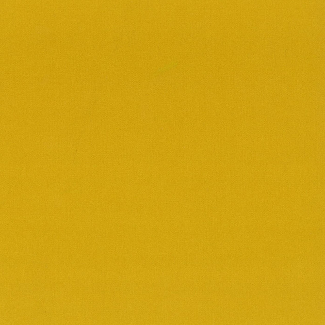 Stout Fabric Grace 17 Amber ENCORE 100%POL CHINA Horizontal: 0.000 and Vertical: 0.000 55 in - My Fabric Connection -