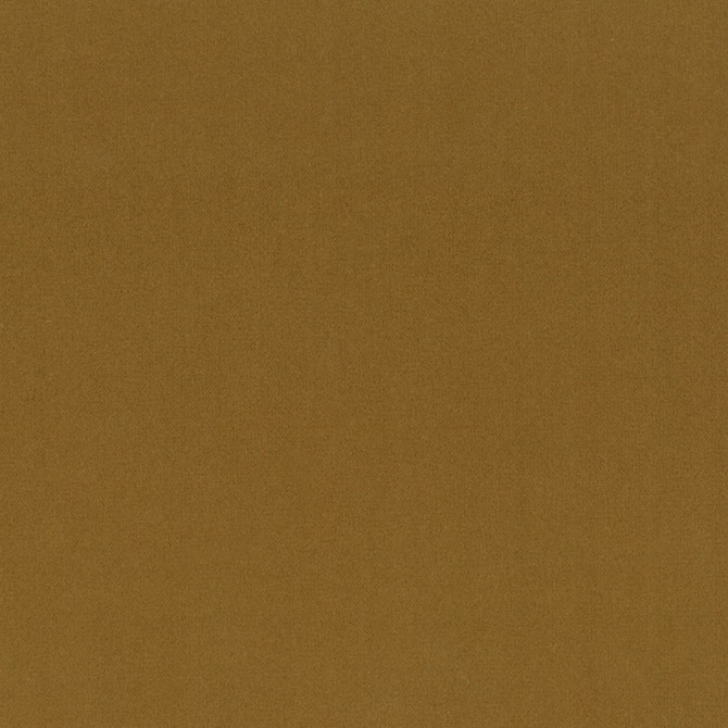 Stout Fabric Grace 18 Lion ENCORE 100%POL CHINA FLAME RETARDANT-N.F.P.A. 260A CLASS 1 CATB 117-2013 WYZENBEEK 50 000 DOUBLE RUB WEAR TEST (HEAVY DUTY) Horizontal: 0 and Vertical: 0 55 in - My Fabric Connection -