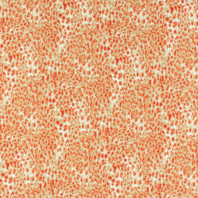 Stout Fabric Lahaska 1 Paprika RAINBOW LIBRARY TILE/SORBET 100%COT INDIA CATB 117-2013 WYZENBEEK 30 000 DOUBLE RUB WEAR TEST (HEAVY DUTY) Horizontal: 13.75 and Vertical: 13.5 54 in - My Fabric Connection -