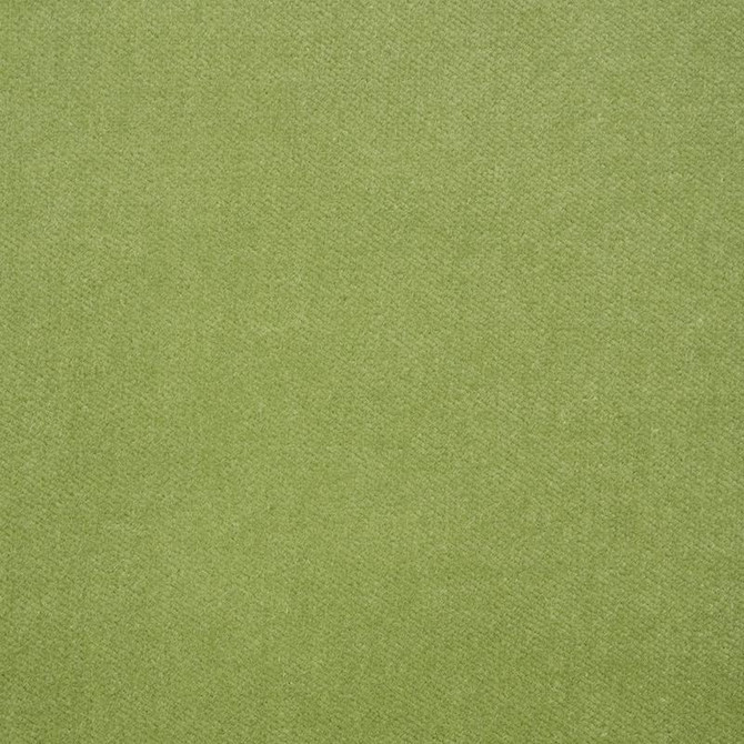 Schumacher Fabric Rocky Performance Velvet Aloe 70575 Perfect Basics: Velvet - My Fabric Connection -