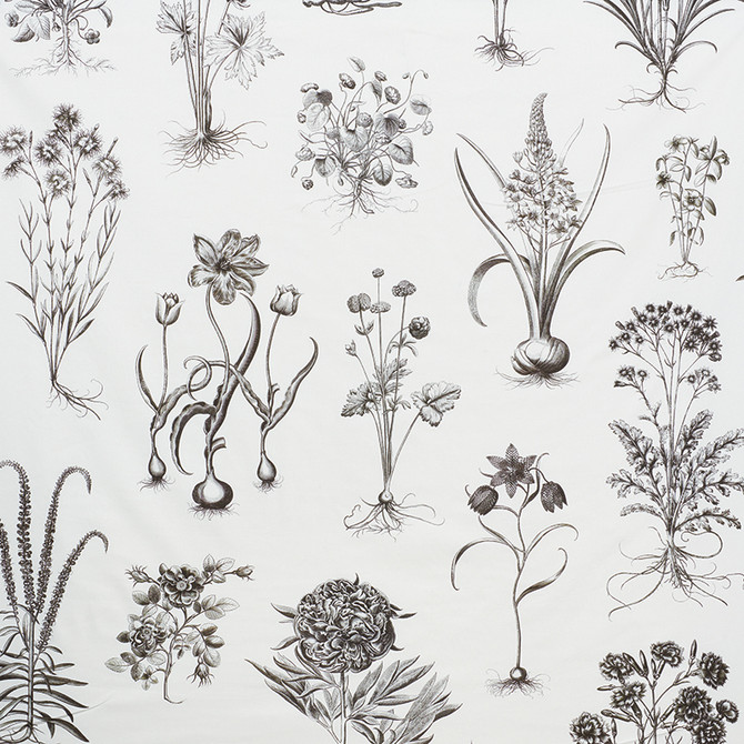Schumacher Fabric Cabot Botanical Large Ivory 178740 SCHUMACHER CLASSICS COTTON 100% UNITED KINGDOM </p><p>Repeat: Horizontal: 111" (282CM) and Vertical: 54 3/4" (142CM) 55.5 - My Fabric Connection -
