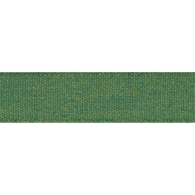Schumacher Trim Ashwood Tape Green 72414 ESSENTIALS: INDOOR/OUTDOOR TRIM SOLUTION DYED ACRYLIC 100% ITALY </p><p>Repeat: Horizontal: and Vertical: 1 - My Fabric Connection -