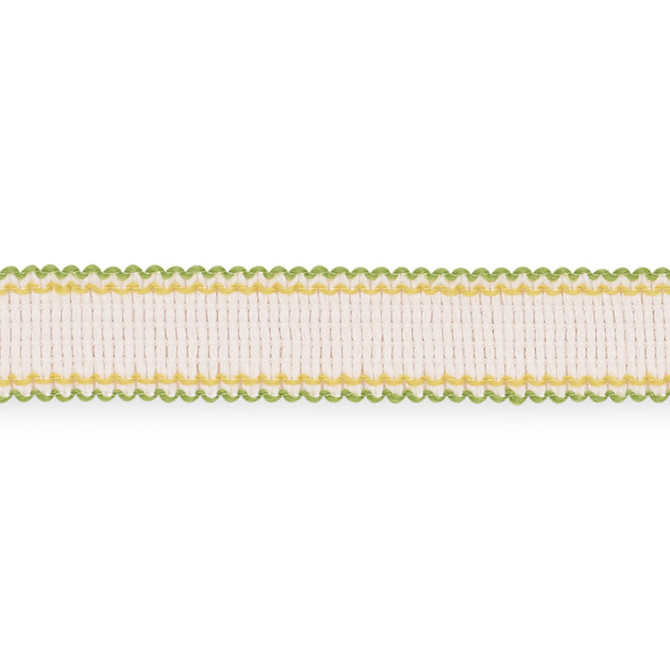 Schumacher Trim Filippa Tape Leaf 73575 INDOOR/OUTDOOR II: PRINTS & WOVENS POLYOLEFIN 99% NYLON 1% UNITED KINGDOM WYZENBEEK 50,000 </p><p>Repeat: Horizontal: and Vertical: 1/8" (0CM) 0.75 - My Fabric Connection -