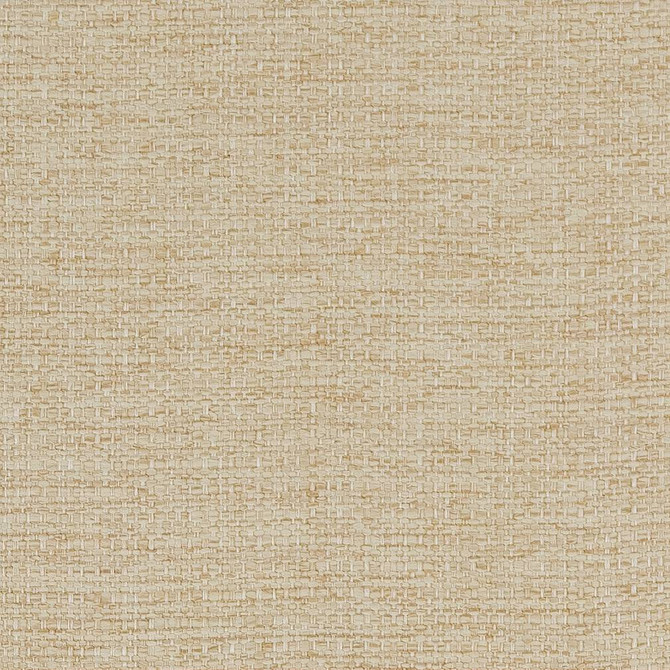 Charlotte Fabric D1581 Beach Eco Plains 100% Polypropylene Made In USA Exceeds 60,000 Wyzenbeek Rubs (Heavy Duty) </p><p>Repeat: No Repeat 54 Inches - My Fabric Connection -