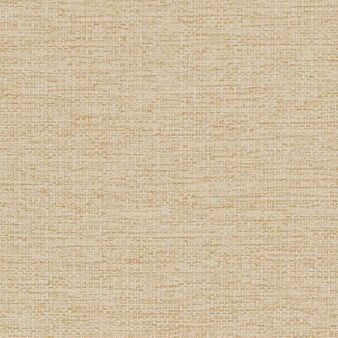 Charlotte Fabric D1589 Cashew Eco Plains 100% Woven Polypropylene Made In USA Exceeds 60,000 Wyzenbeek Rubs (Heavy Duty) No Repeat 54 Inches - My Fabric Connection -