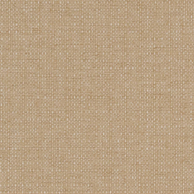 Charlotte Fabric D1599 Almond Eco Plains 100% Polypropylene Made In USA Exceeds 60,000 Wyzenbeek Rubs (Heavy Duty) </p><p>Repeat: No Repeat 54 Inches - My Fabric Connection -
