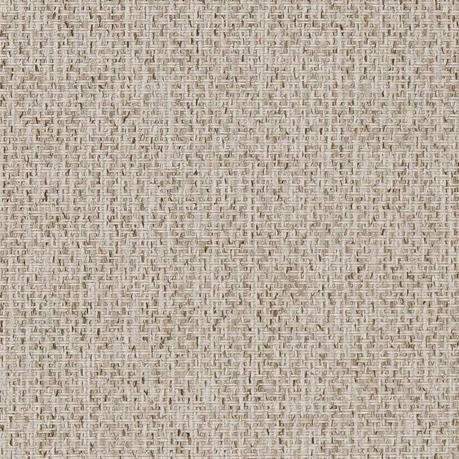 Charlotte Fabric D1619 Birch Eco Patterns 100% Polypropylene Made In USA Exceeds 60,000 Wyzenbeek Rubs (Heavy Duty) </p><p>Repeat: No Repeat 54 Inches - My Fabric Connection -