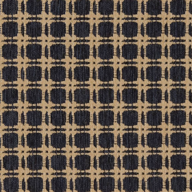 Charlotte Fabric D1648 Navy Eco Patterns 100% Polypropylene Made In USA Exceeds 60,000 Wyzenbeek Rubs (Heavy Duty) </p><p>Repeat: Horizontal: 1.25" x Vertical: 1.25" 54 Inches - My Fabric Connection -