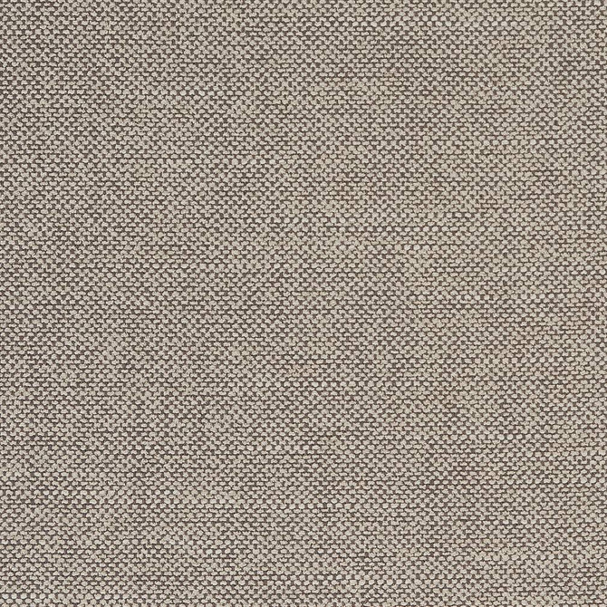 Charlotte Fabric D1755 Fossil Crypton III 70% Polyester, 25% Viscose, 5% Linen Asia Exceeds 200,000 Wyzenbeek Rubs (Heavy Duty) No Repeat 54 Inches - My Fabric Connection -