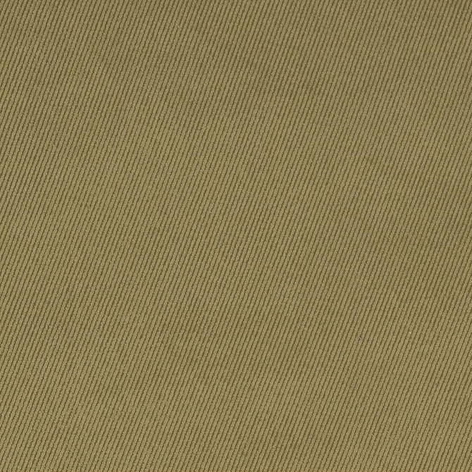 Charlotte Fabric D1760 Sage Classic Velvet 100% Woven Polyester Asia Exceeds 200,000 Wyzenbeek Rubs (Heavy Duty) </p><p>Repeat: No Repeat 54 Inches - My Fabric Connection -