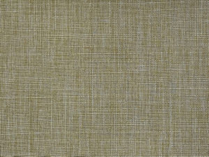 Norbar Fabric Runway Canvas CONDOR 100% POLYESTER TAIWAN 54" - My Fabric Connection -