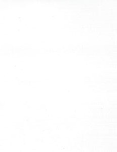 Norbar Fabric Luther White 100% POLYESTER POLAND 54 - My Fabric Connection -