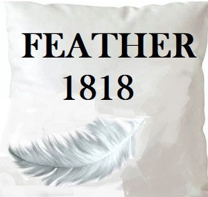 Norbar Fabric Feather 1818 Insert 18X18 PILLOW INSERT - My Fabric Connection -