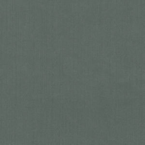 Norbar Fabric Scorpio Graphite 85 SCORPIO 100% INHERENTLY FLAME INDIA 54" - My Fabric Connection -