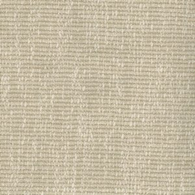 Norbar Fabric Berlin Sand 213 44% POLYESTER 38% VISCOSE RAY INDIA 54 - My Fabric Connection -
