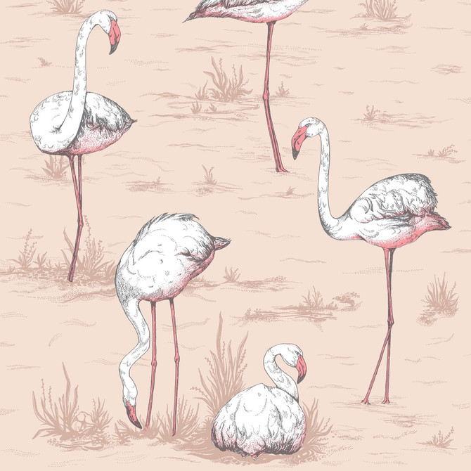 Cole & Son Wallcovering Flamingos Plaster Pink COLE & SON ICONS PAPER - 100% United Kingdom Horizontal: and Vertical: 27.5 21 - My Fabric Connection -