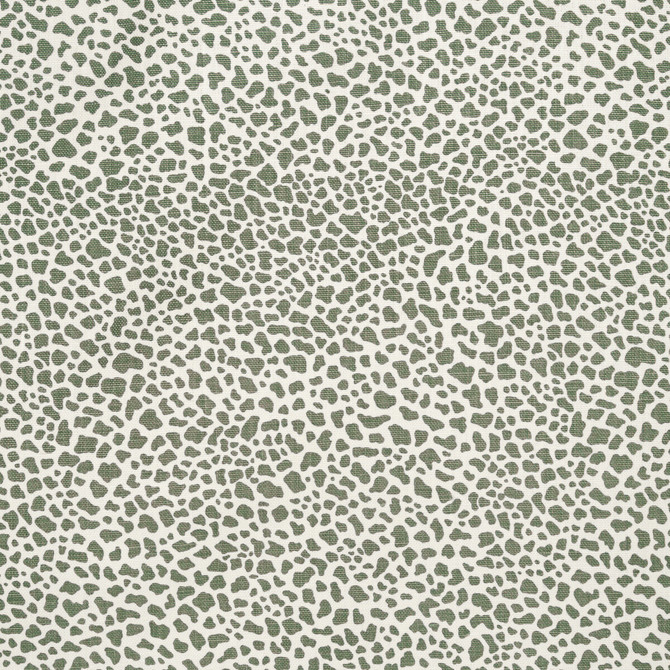 Lee Jofa Fabric Safari Linen Sage PAOLO MOSCHINO FABRICS LINEN - 100% United Kingdom MEDIUM Horizontal: 11.81 and Vertical: 15.75 56.3 - My Fabric Connection -