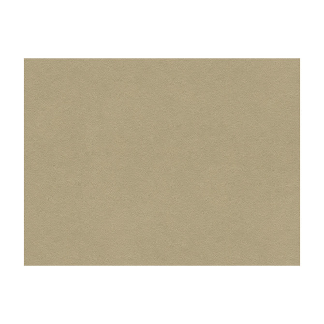Kravet Design Fabric Ultrasuede Green Oatmeal PERFORMANCE RECYCLED POLYESTER - 80%;POLYURETHANE - 20% Japan HEAVY Horizontal: - and Vertical: - 55 - My Fabric Connection -